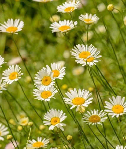 Hudební komunita – symbol propojení a spolupráce